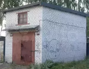 Фото к объявлению #20588504