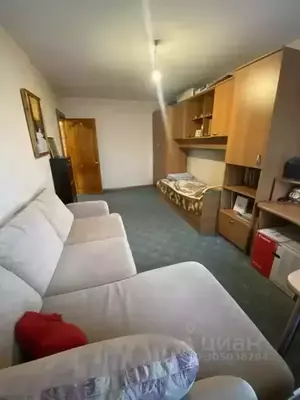 Фото к объявлению #20987263