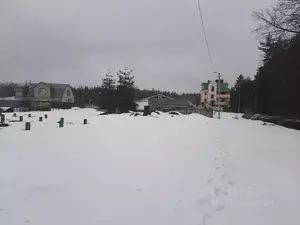 Фото к объявлению #22237462