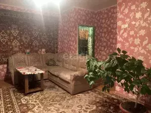 Фото к объявлению #20363453