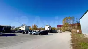 Фото к объявлению #21631048