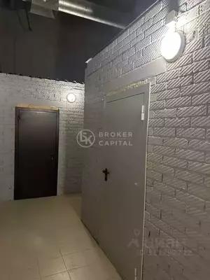 Фото к объявлению #21918206