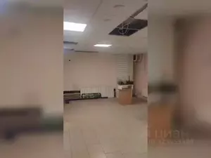 Фото к объявлению #22221580