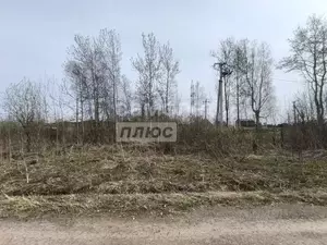 Фото к объявлению #22225307