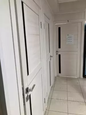 Фото к объявлению #22165187