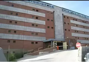 Фото к объявлению #20666974