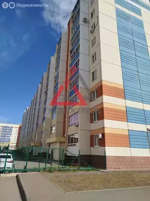 Фото к объявлению #21450221