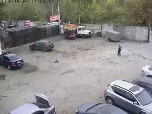 Фото к объявлению #21295223