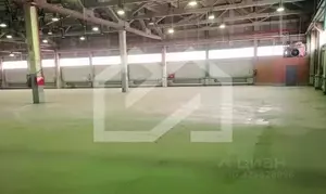 Фото к объявлению #22260538