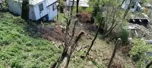 Фото к объявлению #20501630