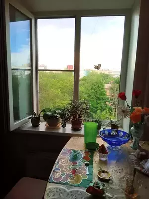 Фото к объявлению #20655223