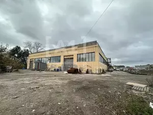 Фото к объявлению #22236533