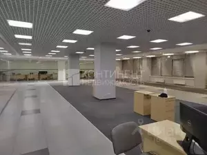 Фото к объявлению #19774559