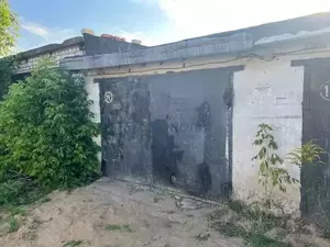 Фото к объявлению #22159462