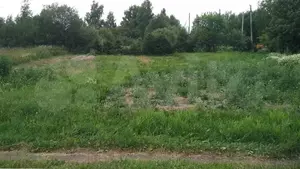 Фото к объявлению #22174886