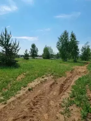 Фото к объявлению #22213110