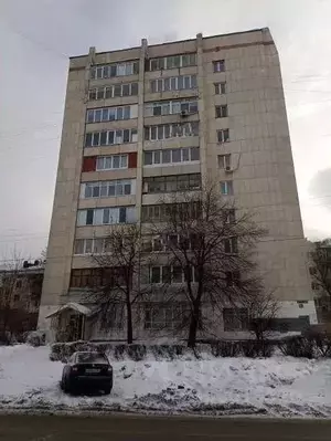 Фото к объявлению #21466786