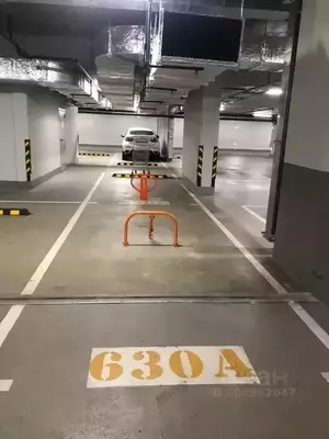 Фото к объявлению #20099917