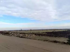 Фото к объявлению #21787238