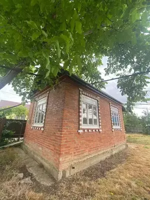 Фото к объявлению #21245122