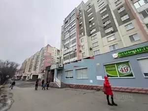 Фото к объявлению #22243756