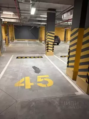 Фото к объявлению #22220162