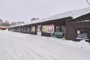 Фото к объявлению #22258768