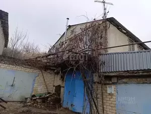 Фото к объявлению #22117718