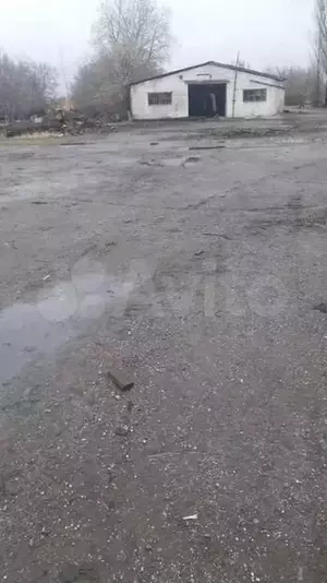 Фото к объявлению #20874390