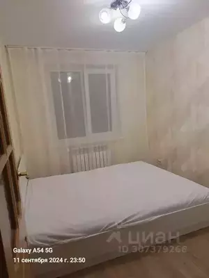 Фото к объявлению #21123234