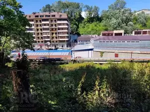 Фото к объявлению #21432774