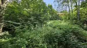 Фото к объявлению #22194655