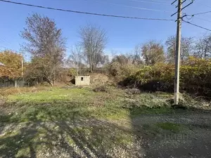 Фото к объявлению #22253385