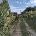 Фото к объявлению #
