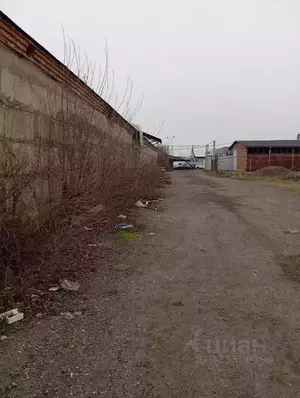 Фото к объявлению #22249943