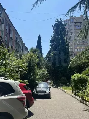 Фото к объявлению #22170969