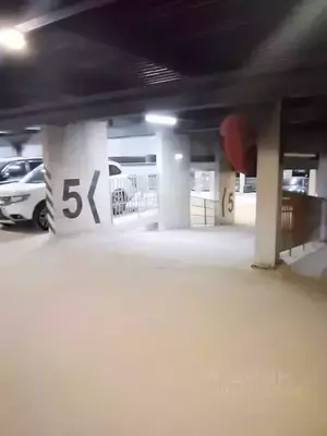 Фото к объявлению #20449191