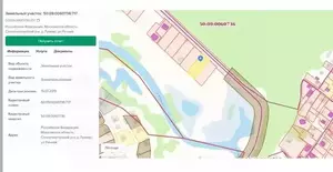 Фото к объявлению #22245648