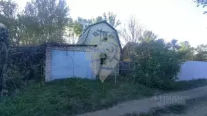 Фото к объявлению #20864113