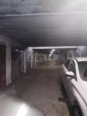 Фото к объявлению #22210466