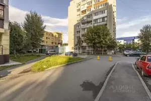 Фото к объявлению #22158623