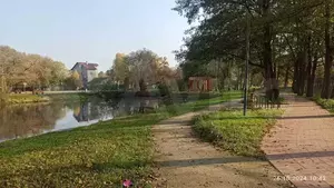 Фото к объявлению #21483203