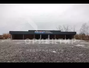 Фото к объявлению #22218665