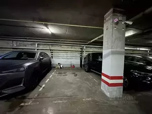 Фото к объявлению #22258182