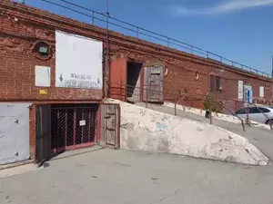 Фото к объявлению #20902629