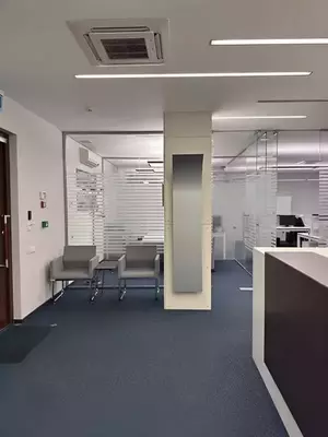 Фото к объявлению #22208938