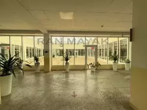 Фото к объявлению #22132553