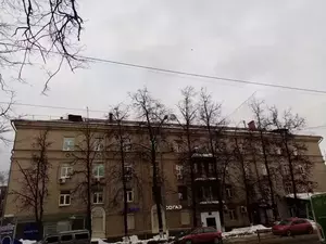 Фото к объявлению #22263068