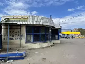 Фото к объявлению #22263057