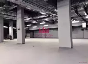 Фото к объявлению #19895296